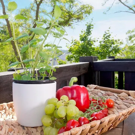 Apartment Ahlbecker Hoehe App Muschelkaestchen