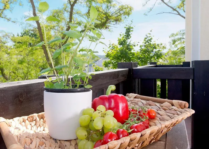 Ahlbecker Hoehe App Muschelkaestchen 아파트 제바트헤링스도르프